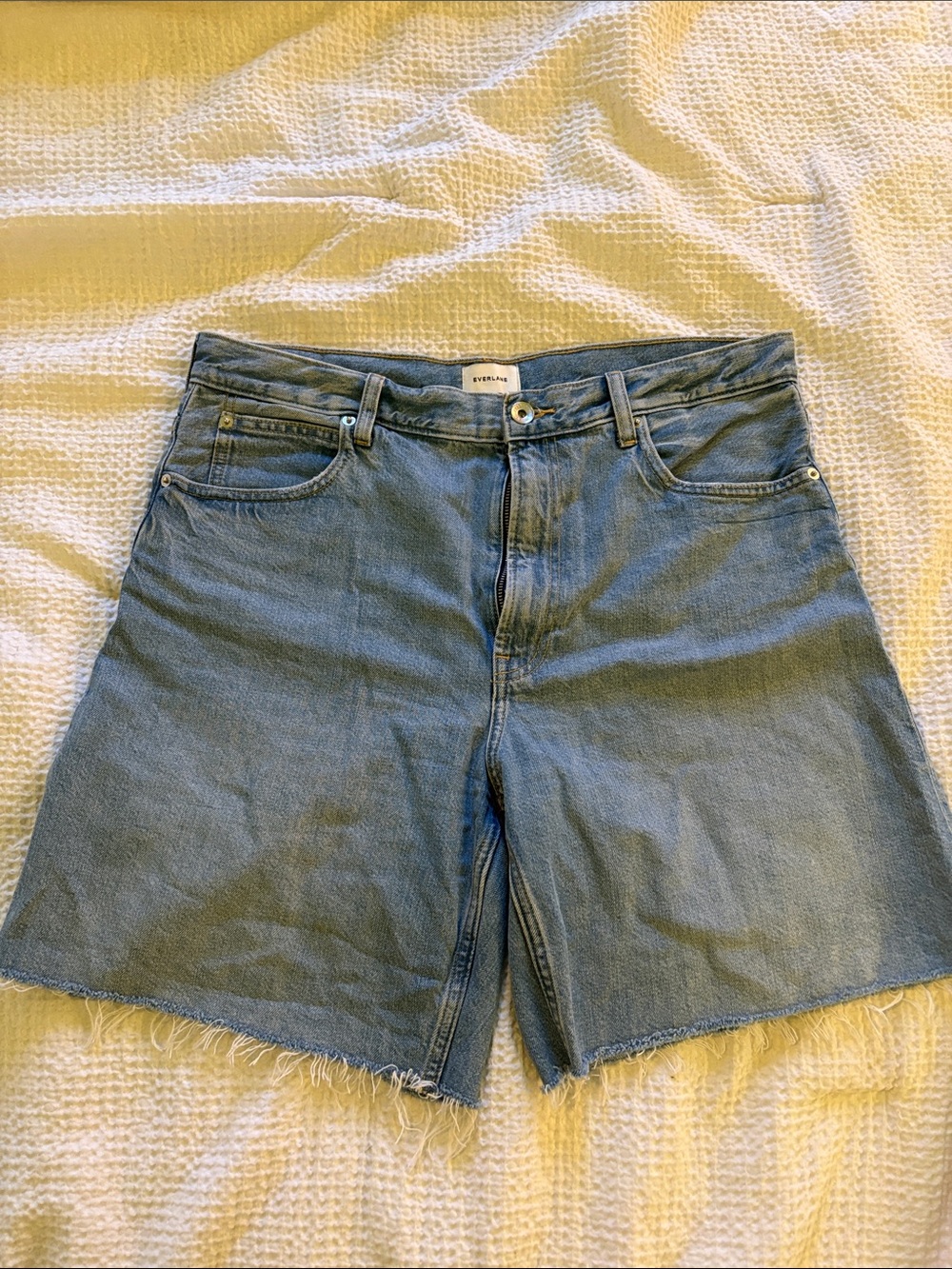 Everlane Light Blue High-Rise Denim Cutoff Shorts